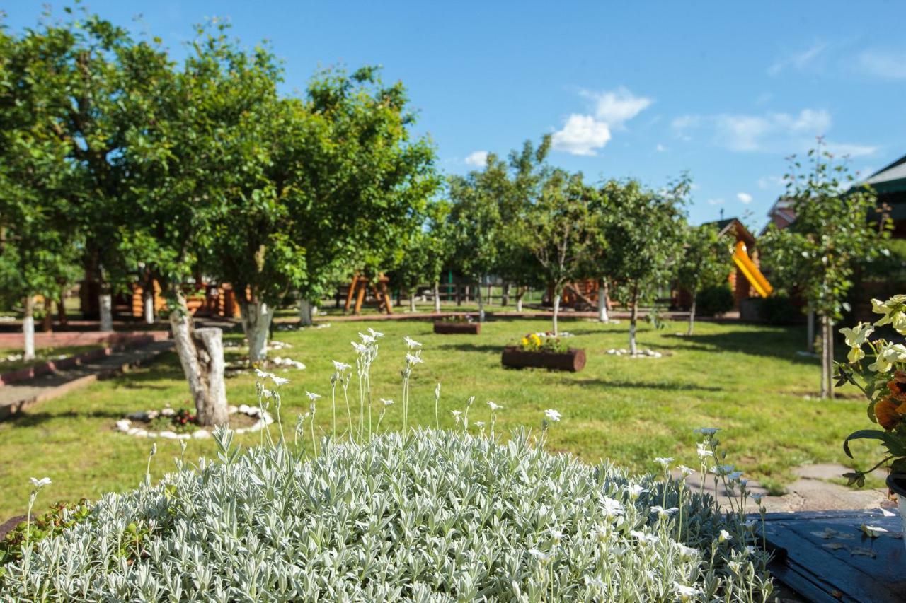 Hotel Magic Garden By Vladut Bacău Esterno foto